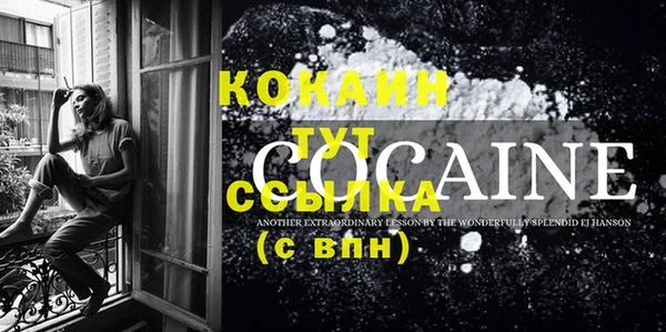 крисы Новокубанск