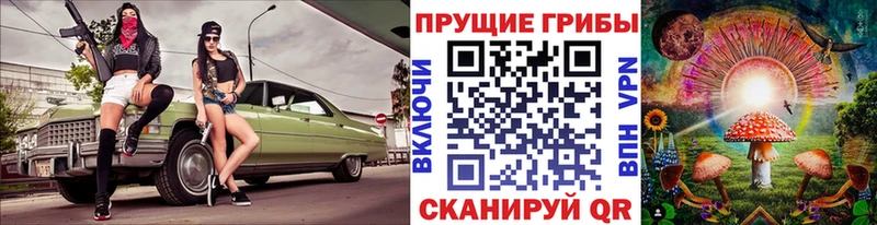 Псилоцибиновые грибы Psilocybe Анива